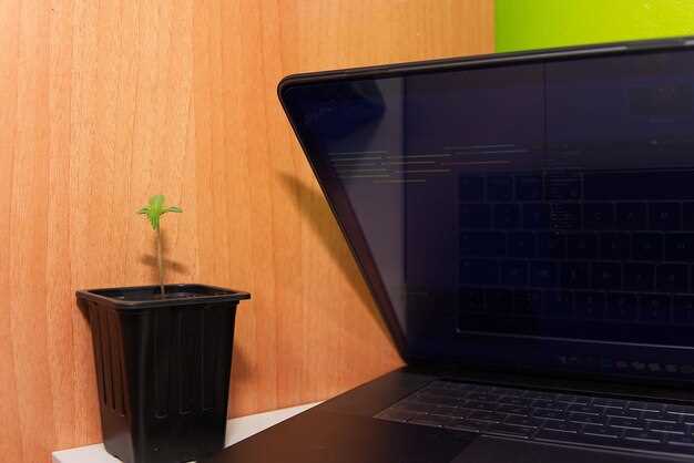 Подготовка к установке Linux на Windows 10