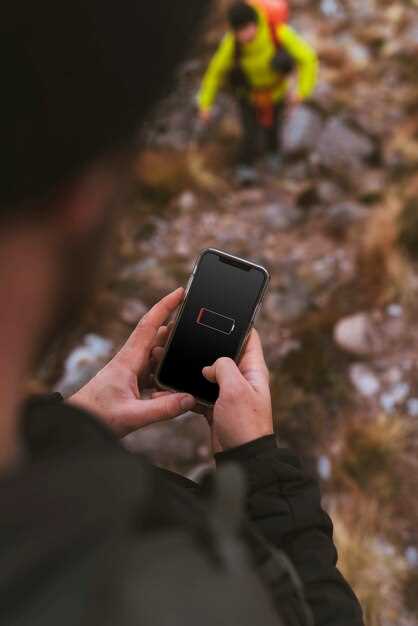 Что такое The Trail и почему он популярен?