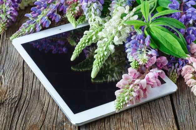 Как выбрать подходящие аксессуары для tablet