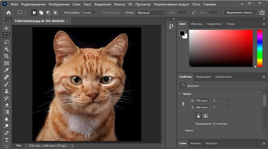 Photoshop