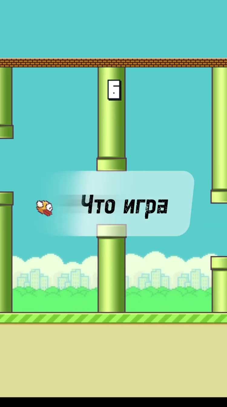 Кейс успешного запуска: Уроки для будущих разработчиков