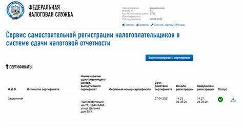 Идентификатор налогоплательщика код абонента где взять